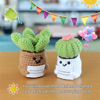 סט צמחים בשרניים סרוגים